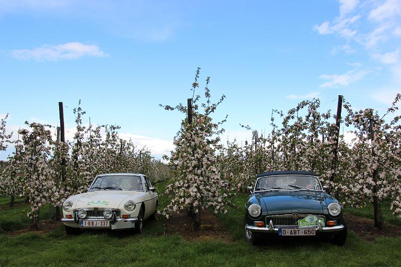 MG Bloesemrit op 24-4-2016 org. Jos&Marie-lou  (237).JPG